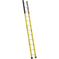 Single Manhole Ladder, 12', Fibreglass, 375 lbs., CSA Grade 1AA EastCoast Offshore Supplies
