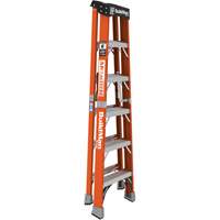 Step Ladder, 6', Fibreglass, 375 lbs. Capacity, Type 1AA EastCoast Offshore Supplies