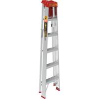 Step Ladder with Paint Tray, 6', Aluminum, 200 lbs. Capacity, Type 3 EastCoast Offshore Supplies