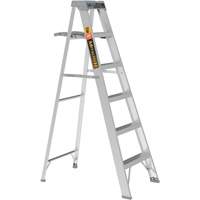 Step Ladder with Paint Tray, 6', Aluminum, 225 lbs. Capacity, Type 2 EastCoast Offshore Supplies