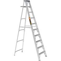 Step Ladder with Paint Tray, 10', Aluminum, 225 lbs. Capacity, Type 2 EastCoast Offshore Supplies