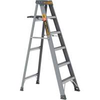 Step Ladder with Paint Tray, 6', Fibreglass, 225 lbs. Capacity, Type 2 EastCoast Offshore Supplies