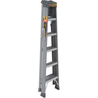 Step Ladder with Paint Tray, 6', Fibreglass, 225 lbs. Capacity, Type 2 EastCoast Offshore Supplies