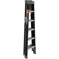 Step Ladder with Paint Tray, 6', Fibreglass, 250 lbs. Capacity, Type 1 EastCoast Offshore Supplies