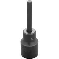 Socket Bit, Hex, 6 mm x 3-1/4" L, 1/2" Drive EastCoast Offshore Supplies