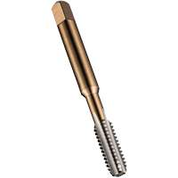 General Purpose Hand Tap, High Speed Steel, M10x1.25 Thread EastCoast Offshore Supplies