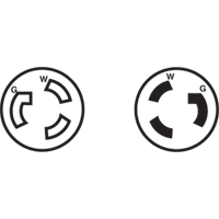 2-Pole 3-Wire Grounding Locking Plug, Nylon, 15 Amps, 250 V, L6-15P EastCoast Offshore Supplies