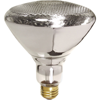 Economy Line Incandescent Lamps EastCoast Offshore Supplies