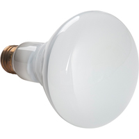Economy Line Incandescent Lamps EastCoast Offshore Supplies