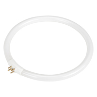 Replacement Fluorescent Bulb for Rhinomag Illuminated Magnifiers, 22 W EastCoast Offshore Supplies