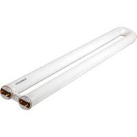 OCTRON&reg; 800 CURVALUME Fluorescent Lamps, 31 W, T8 U-Shaped, 4100 K, 22.5" Long EastCoast Offshore Supplies