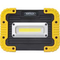 Lampe de travail portative, DEL, 10 W, 1000 lumens, Boîtier en Plastique EastCoast Offshore Supplies
