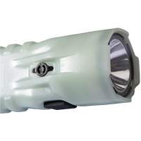 Lampe de poche, DEL, 378 lumens, Piles AA EastCoast Offshore Supplies