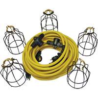 LED String Lights with Connector, 5 Lights, 50' L, Metal Housing EastCoast Offshore Supplies