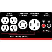 Gasoline/Propane Generator with Electric Start EastCoast Offshore Supplies