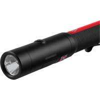 Pen Light with Laser, LED, 250 Lumens, Rechargeable Batteries, Included EastCoast Offshore Supplies