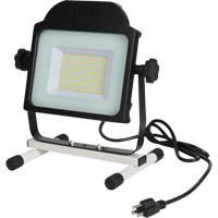 Floodlight, LED, 100 W, 10000 Lumens EastCoast Offshore Supplies