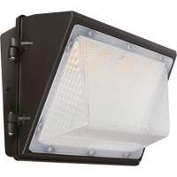 Non-Cutoff Wall Pack, LED, 120 - 277 V, 75 - 110 W, 9.33" H x 6.65" W x 14.5" D EastCoast Offshore Supplies