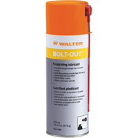 Bolt-Out Penetrating Lubricant, Aerosol Can EastCoast Offshore Supplies